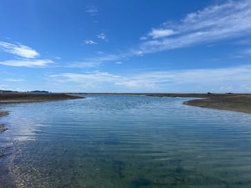 NOAH'S DIVE WAKAYAMA（ノアズダイブワカヤマ）に投稿された画像（2025/9/13）