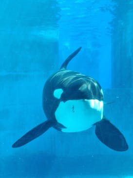 名古屋港水族館に投稿された画像（2025/9/13）