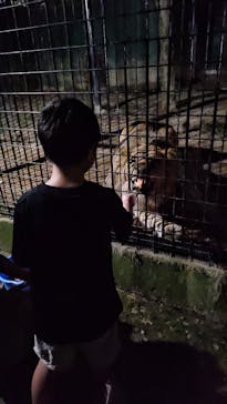 しろとり動物園に投稿された画像（2025/9/13）