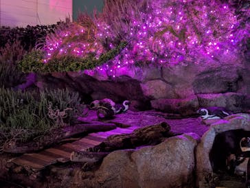 サンシャイン水族館に投稿された画像（2025/9/13）