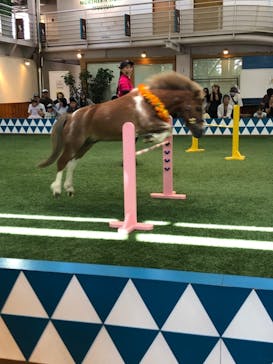 ノーザンホースパークに投稿された画像（2025/9/13）