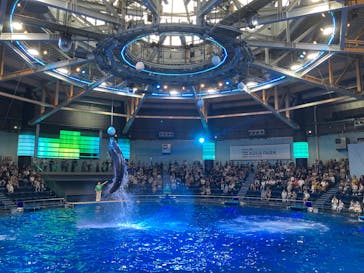 マクセル アクアパーク品川に投稿された画像（2025/9/13）