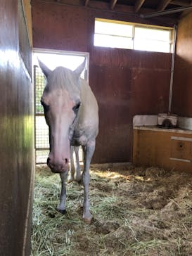 ノーザンホースパークに投稿された画像（2025/9/13）