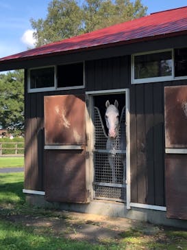 ノーザンホースパークに投稿された画像（2025/9/13）