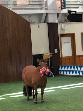 ノーザンホースパークに投稿された画像（2025/9/13）