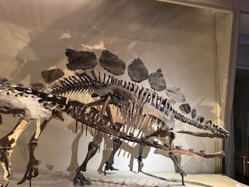 国立科学博物館に投稿された画像（2025/9/13）