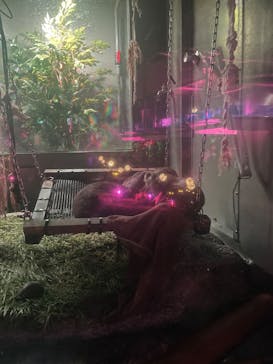 サンシャイン水族館に投稿された画像（2025/9/13）