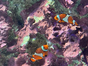 サンシャイン水族館に投稿された画像（2025/9/13）