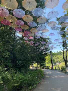 ムーミンバレーパークに投稿された画像（2025/9/13）