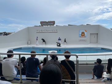 鴨川シーワールドに投稿された画像（2025/9/13）