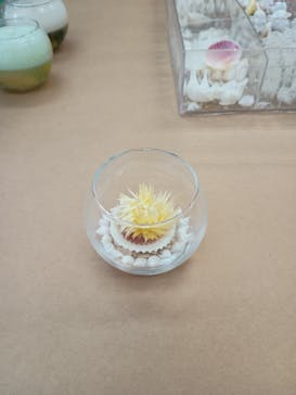 JCAキャンドルスタジオ大阪校に投稿された画像（2025/9/13）