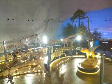 福井県立恐竜博物館に投稿された画像（2025/9/13）