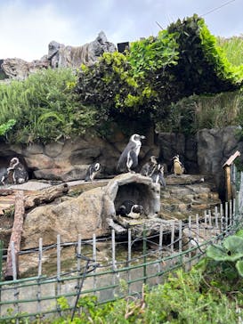 サンシャイン水族館に投稿された画像（2025/9/13）