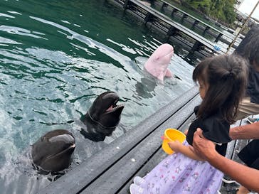 太地町立くじらの博物館に投稿された画像（2025/9/14）