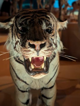 国立科学博物館に投稿された画像（2025/9/14）