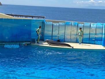新江ノ島水族館に投稿された画像（2025/9/14）