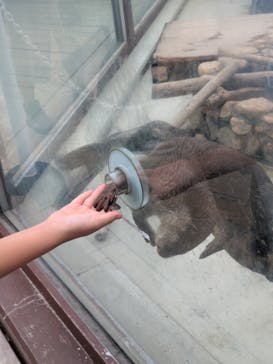 横浜・八景島シーパラダイスに投稿された画像（2025/9/14）