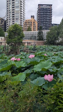 恩賜上野動物園に投稿された画像（2025/9/14）