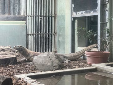 名古屋市東山動植物園に投稿された画像（2025/9/14）