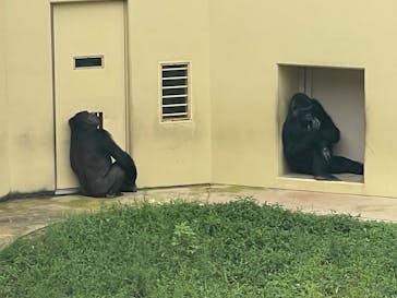 名古屋市東山動植物園に投稿された画像（2025/9/14）