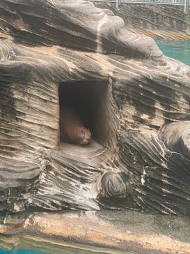 名古屋市東山動植物園に投稿された画像（2025/9/14）