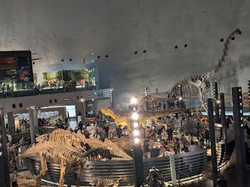 福井県立恐竜博物館に投稿された画像（2025/9/14）