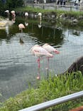 東武動物公園に投稿された画像（2025/9/14）