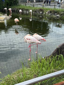東武動物公園に投稿された画像（2025/9/14）
