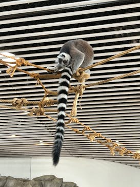 NIFREL（ニフレル）に投稿された画像（2025/9/14）