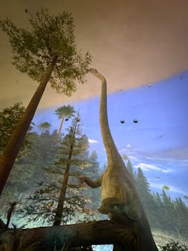 福井県立恐竜博物館に投稿された画像（2025/9/14）