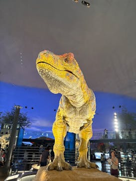 福井県立恐竜博物館に投稿された画像（2025/9/14）