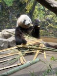 恩賜上野動物園に投稿された画像（2025/9/14）