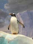 名古屋港水族館に投稿された画像（2025/9/14）