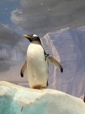 名古屋港水族館に投稿された画像（2025/9/14）