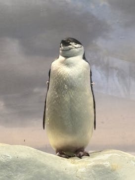 名古屋港水族館に投稿された画像（2025/9/14）