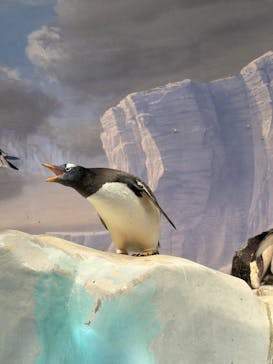 名古屋港水族館に投稿された画像（2025/9/14）