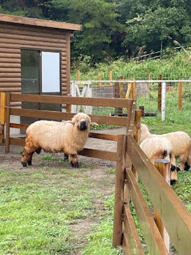 那須どうぶつ王国に投稿された画像（2025/9/14）