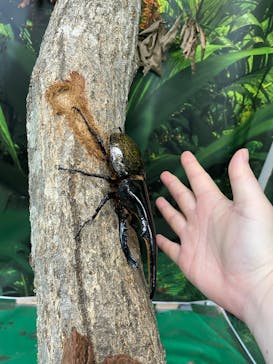 那須どうぶつ王国に投稿された画像（2025/9/14）