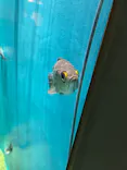 仙台うみの杜水族館に投稿された画像（2025/9/14）