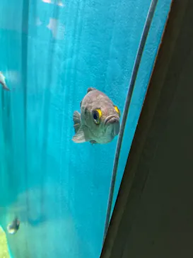 仙台うみの杜水族館に投稿された画像（2025/9/14）
