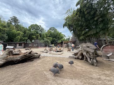 ANIMAL WONDER REZOURT 市原ぞうの国・サユリワールドに投稿された画像（2025/9/14）