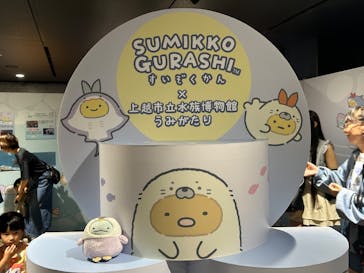 上越市立水族博物館 うみがたりに投稿された画像（2025/9/14）