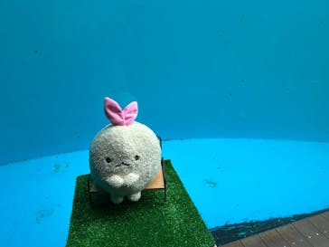 上越市立水族博物館 うみがたりに投稿された画像（2025/9/14）