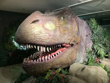 海洋堂ホビーランドに投稿された画像（2025/9/14）