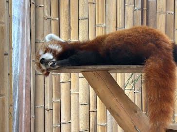 熱川バナナワニ園に投稿された画像（2025/9/14）