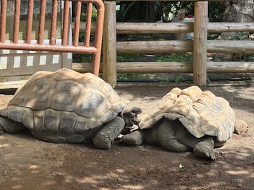 熱川バナナワニ園に投稿された画像（2025/9/14）