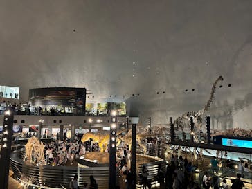 福井県立恐竜博物館に投稿された画像（2025/9/14）