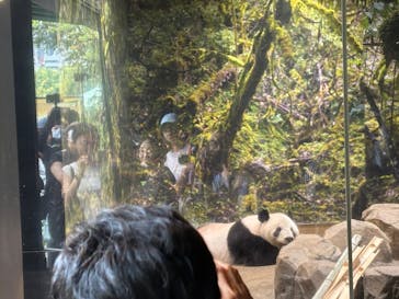 恩賜上野動物園に投稿された画像（2025/9/14）