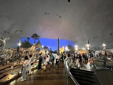 福井県立恐竜博物館に投稿された画像（2025/9/14）
