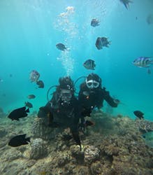 本部ダイビングショップTI.OCEANに投稿された画像（2025/9/14）